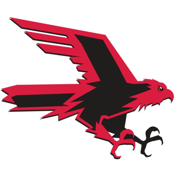 AR9 FALCON 02 RQC Thumbnail