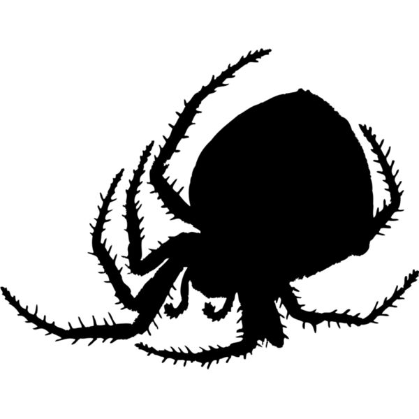 Spider Silhouette 8 Thumbnail