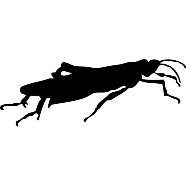 Bug Silhouette 7 Thumbnail