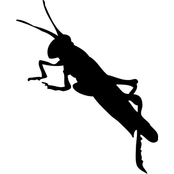 Bug Silhouette 10 Thumbnail