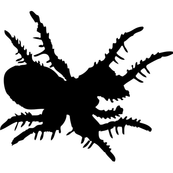 Spider Silhouette 23 Thumbnail
