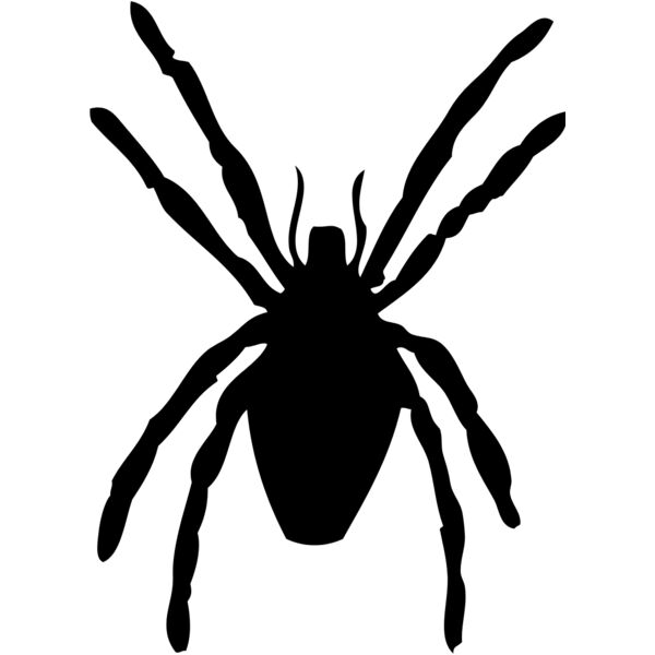 Spider SIlhouette 20 Thumbnail