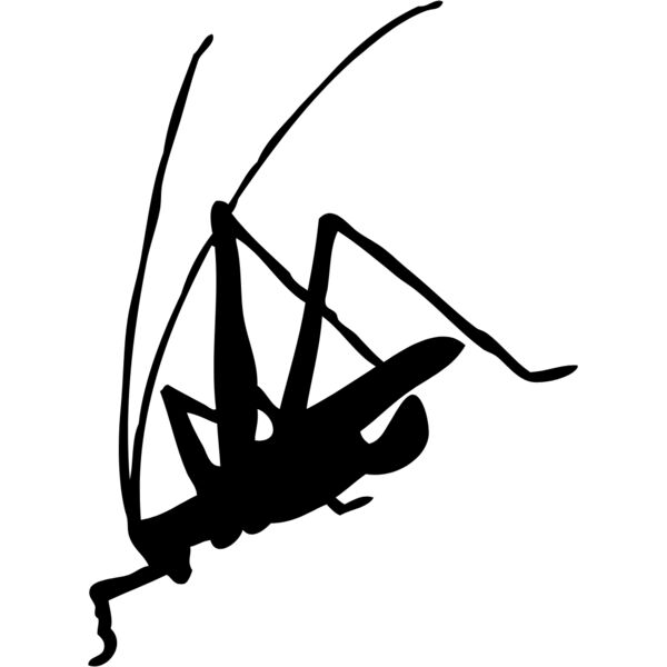 Grasshopper Silhouette 1 Thumbnail