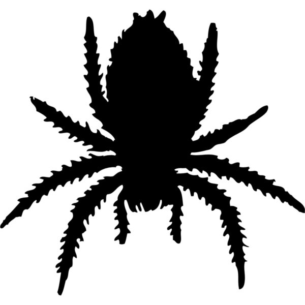 Spider Silhouette 16 Thumbnail