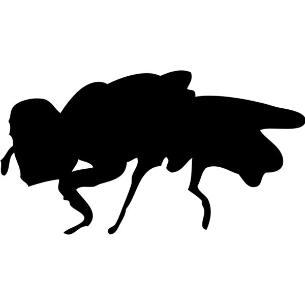 Fly Silhouette 9 Thumbnail