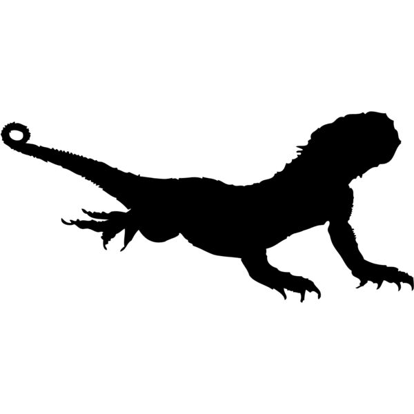 Lizard Silhouette 2 Thumbnail