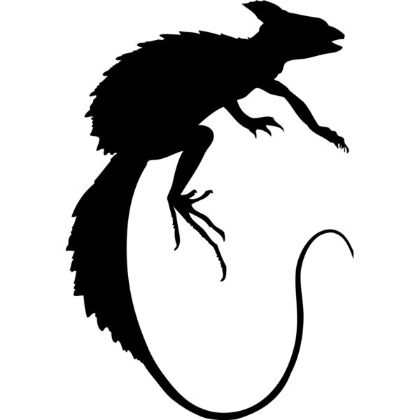 Lizard Silhouette 19 Thumbnail