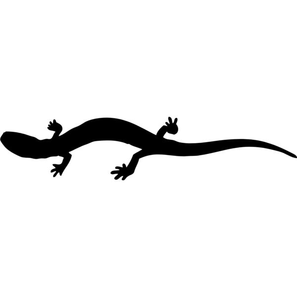 Lizard Silhouette 15 Thumbnail