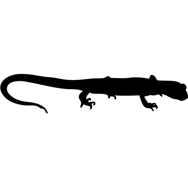 Lizard Silhouette 8 Thumbnail