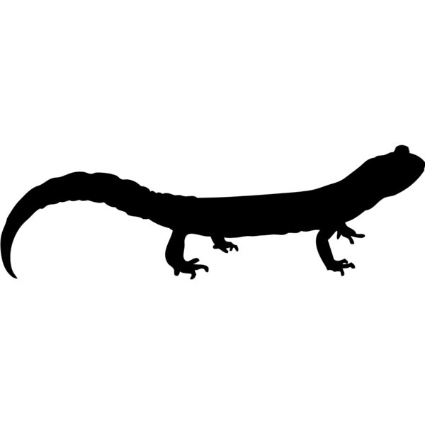 Lizard Silhouette 9 Thumbnail