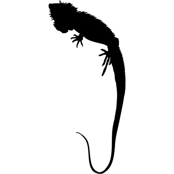 Lizard Silhouette 5 Thumbnail