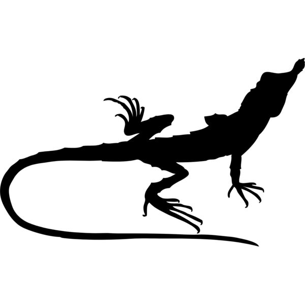 Lizard Silhouette 12 Thumbnail