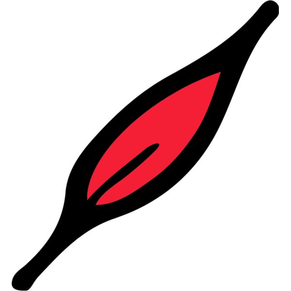 Autumn Fall Leaf 5 Thumbnail