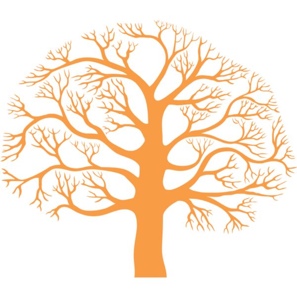 Autumn Fall Tree 20 Thumbnail