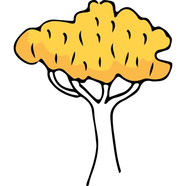 Autumn Fall Tree 3 Thumbnail