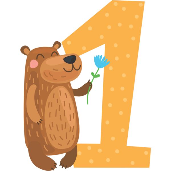 One Birthday Animal Bear Number 1 Thumbnail