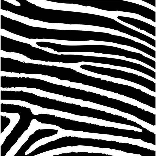 Zebra Print Stripes Background 4 Thumbnail